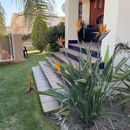 Punta Marina Апартаменты Торевьиа